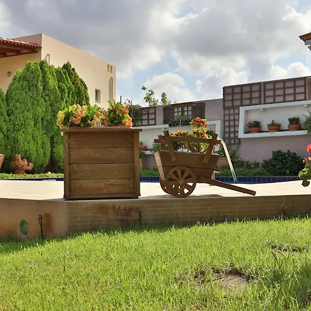 Olive Crete Guest house