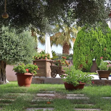 Olive Crete *